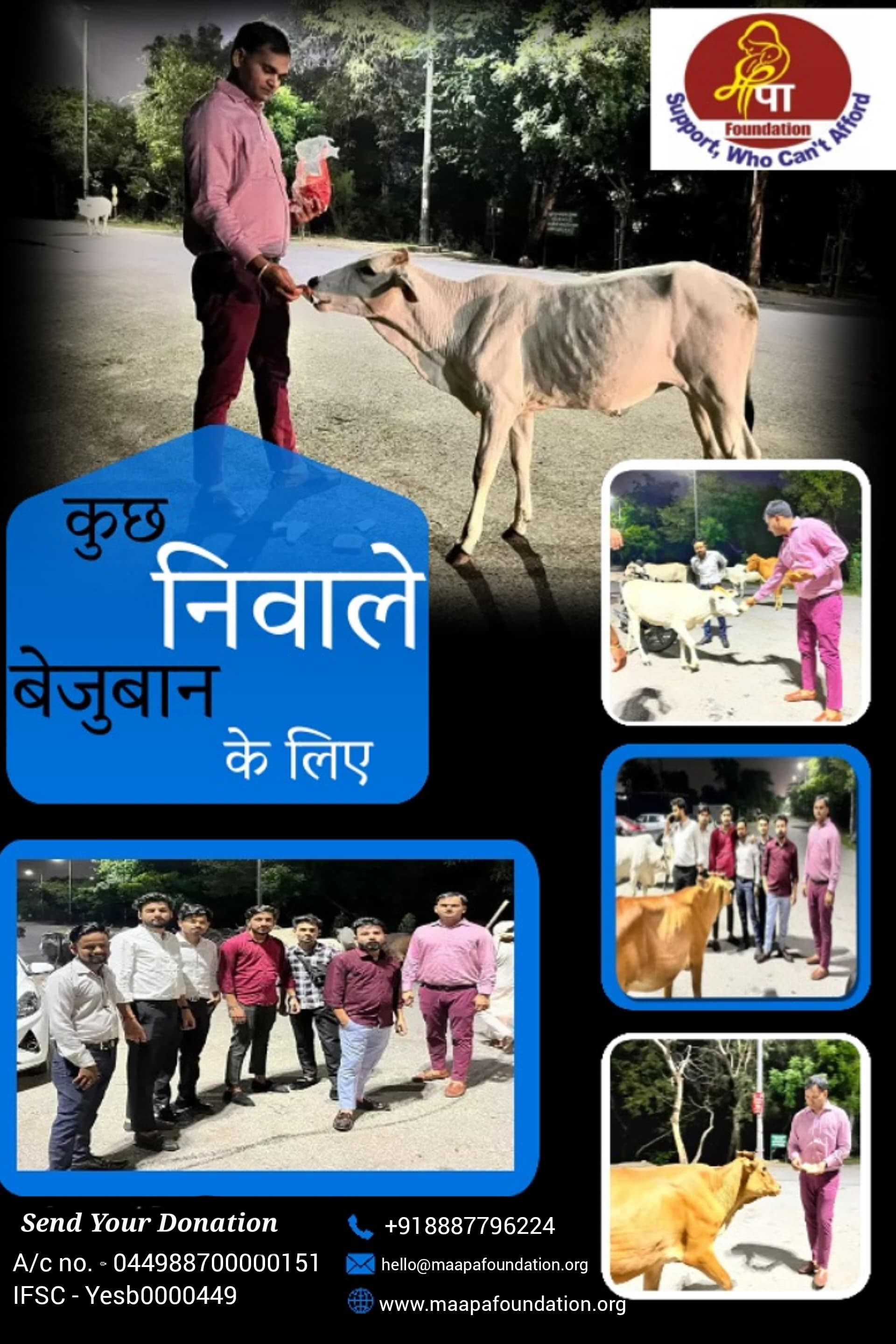 Animals feeding program